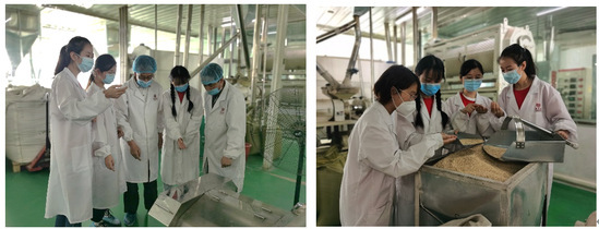 青年紅色筑夢之旅 :燕麥之“香”,扶傳四方